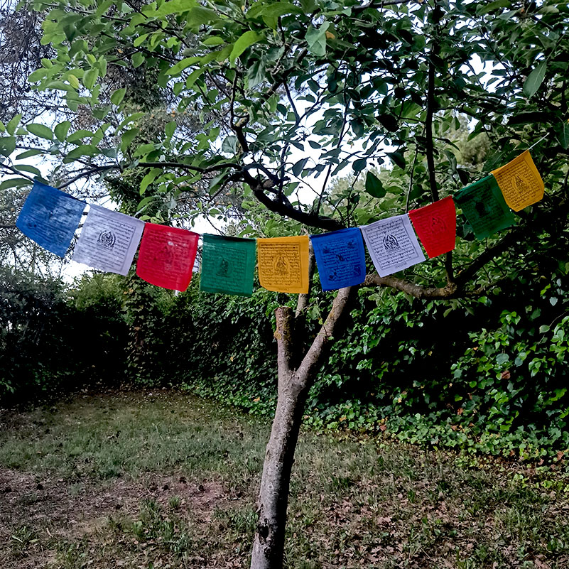 50 Banderas Tibetanas Pequeñas de Banderas Tibetanas