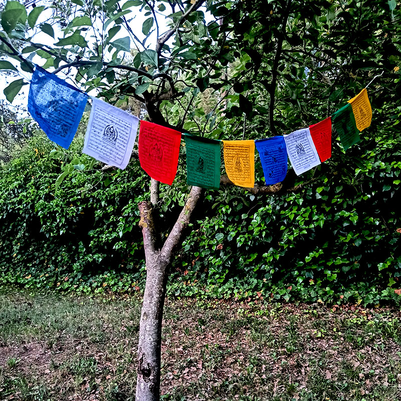 50 Banderas Tibetanas Pequeñas de Banderas Tibetanas