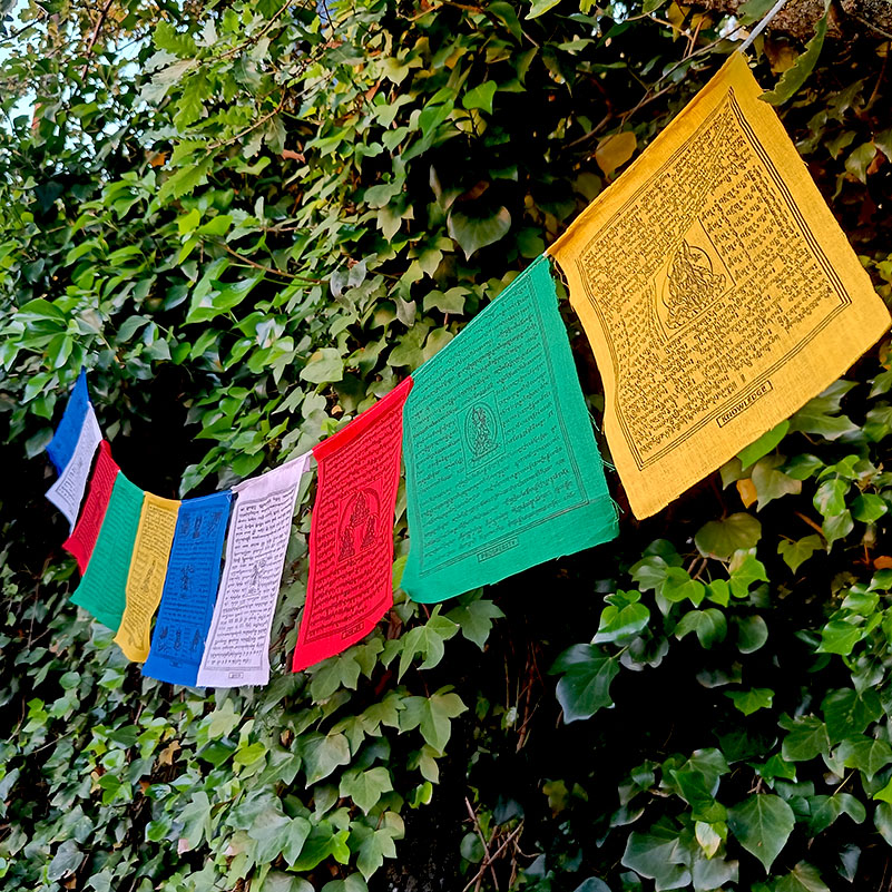 50 Banderas Tibetanas Medianas de Banderas Tibetanas