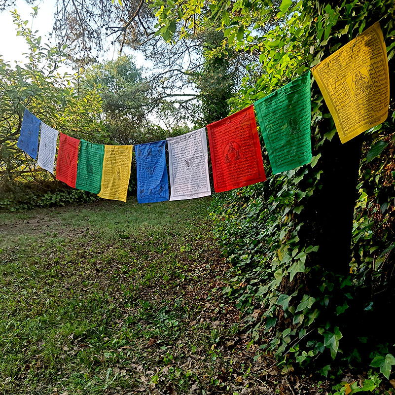 50 Banderas Tibetanas XL de Banderas Tibetanas