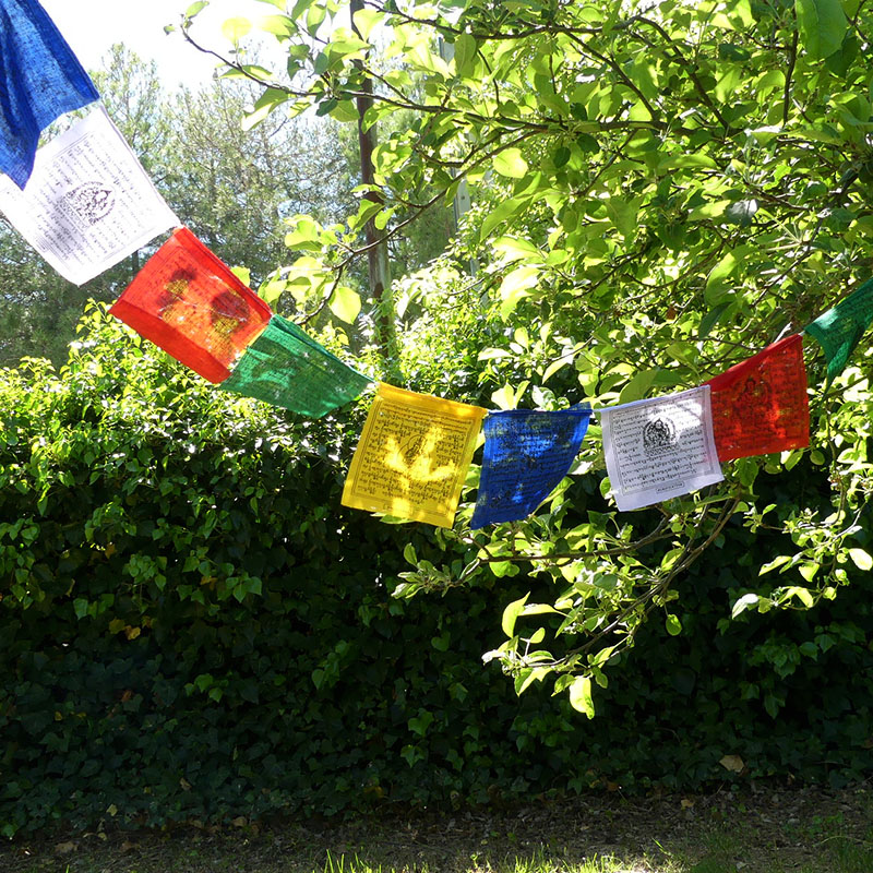 20 Banderas Tibetanas M 2 Rollos de Banderas Tibetanas