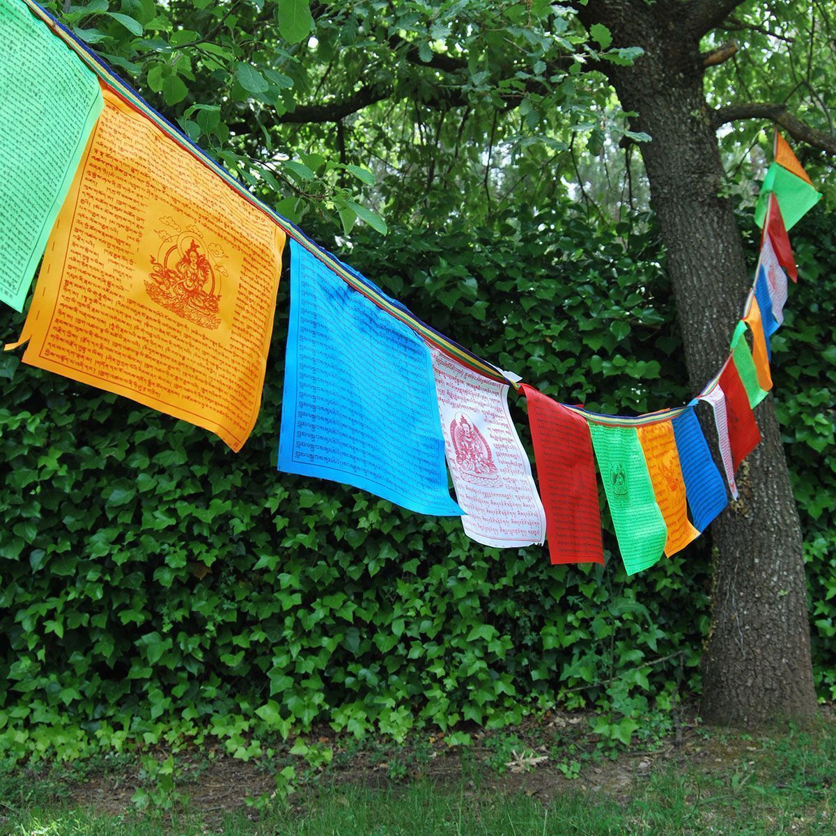100 Banderas Tibetanas Seda 5 de Banderas Tibetanas