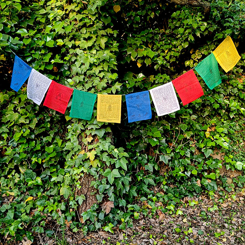 banderas tibetanas