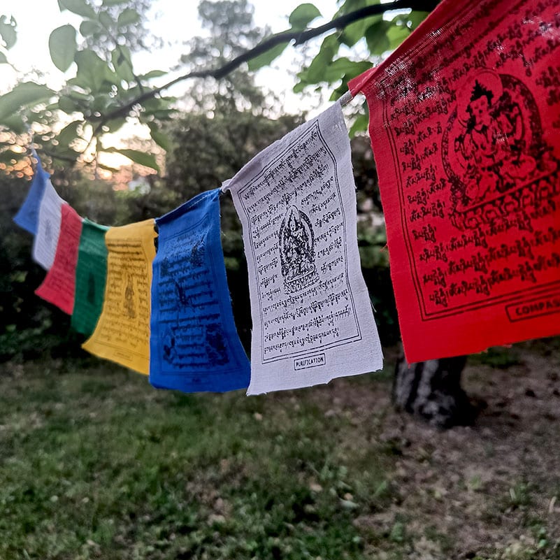 banderas tibetanas